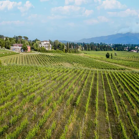 Apartamento In Lucca In Wine