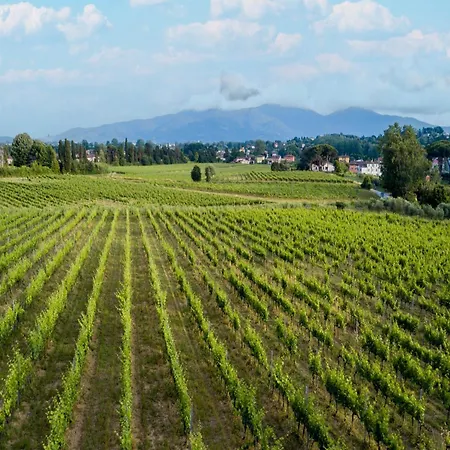 In Lucca In Wine Cappella